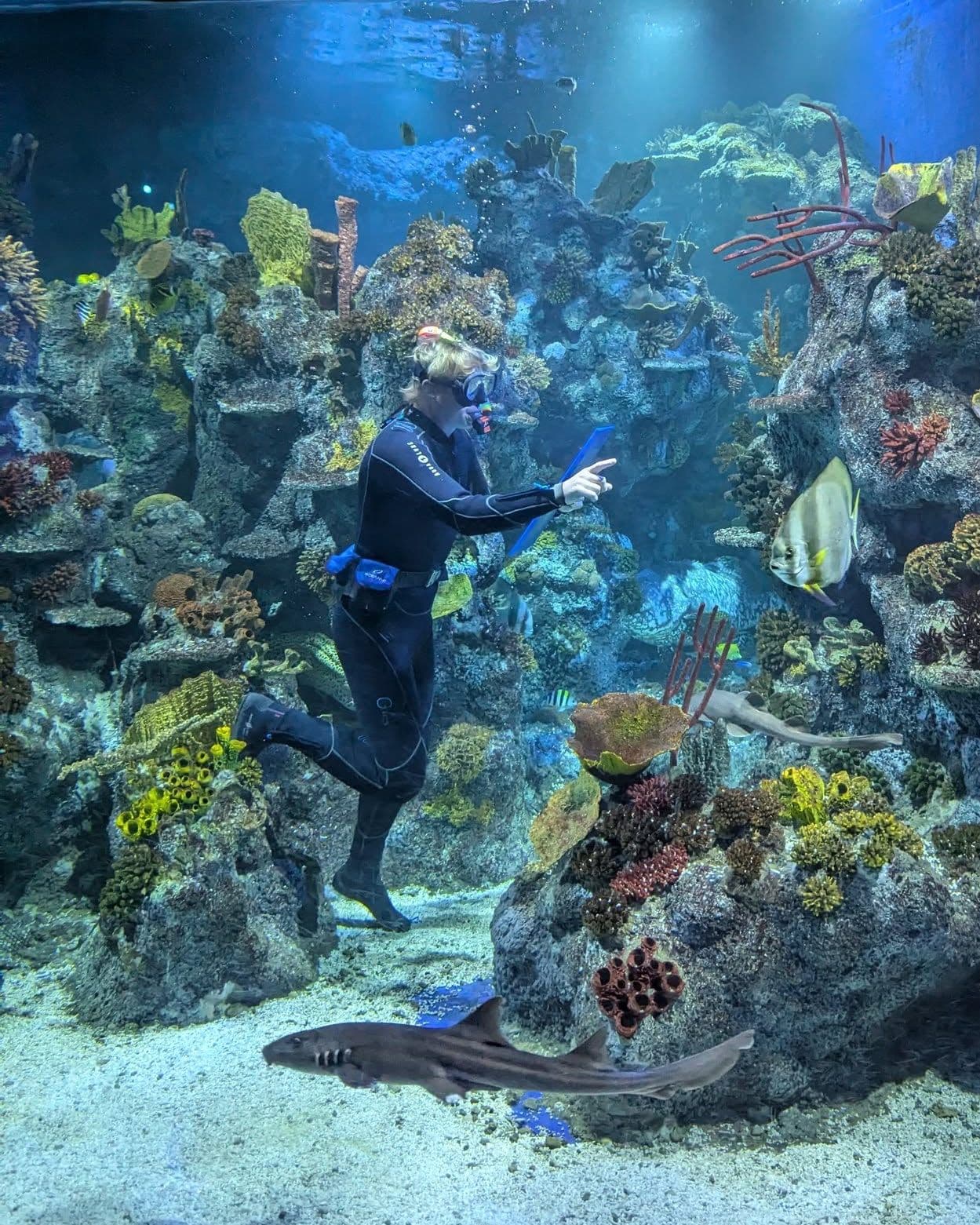 Bristol-Aquarium-1