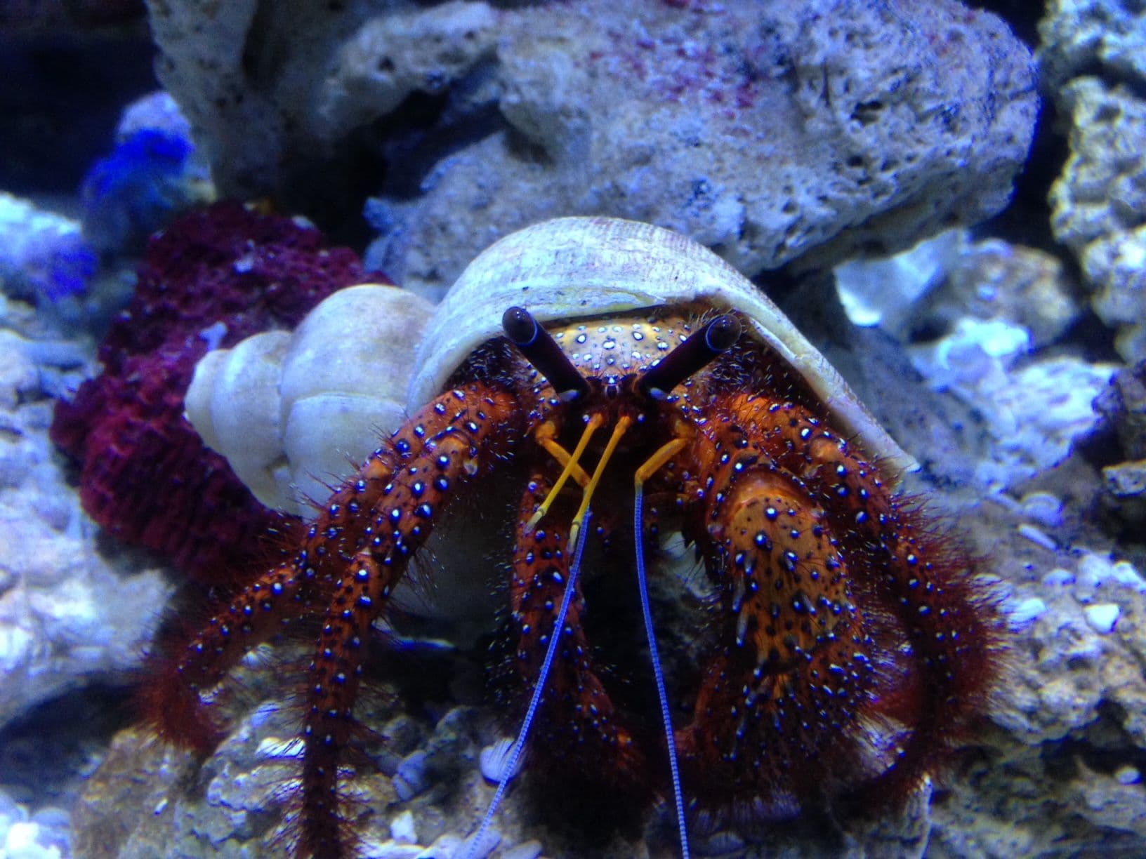 Bristol-Aquarium-5