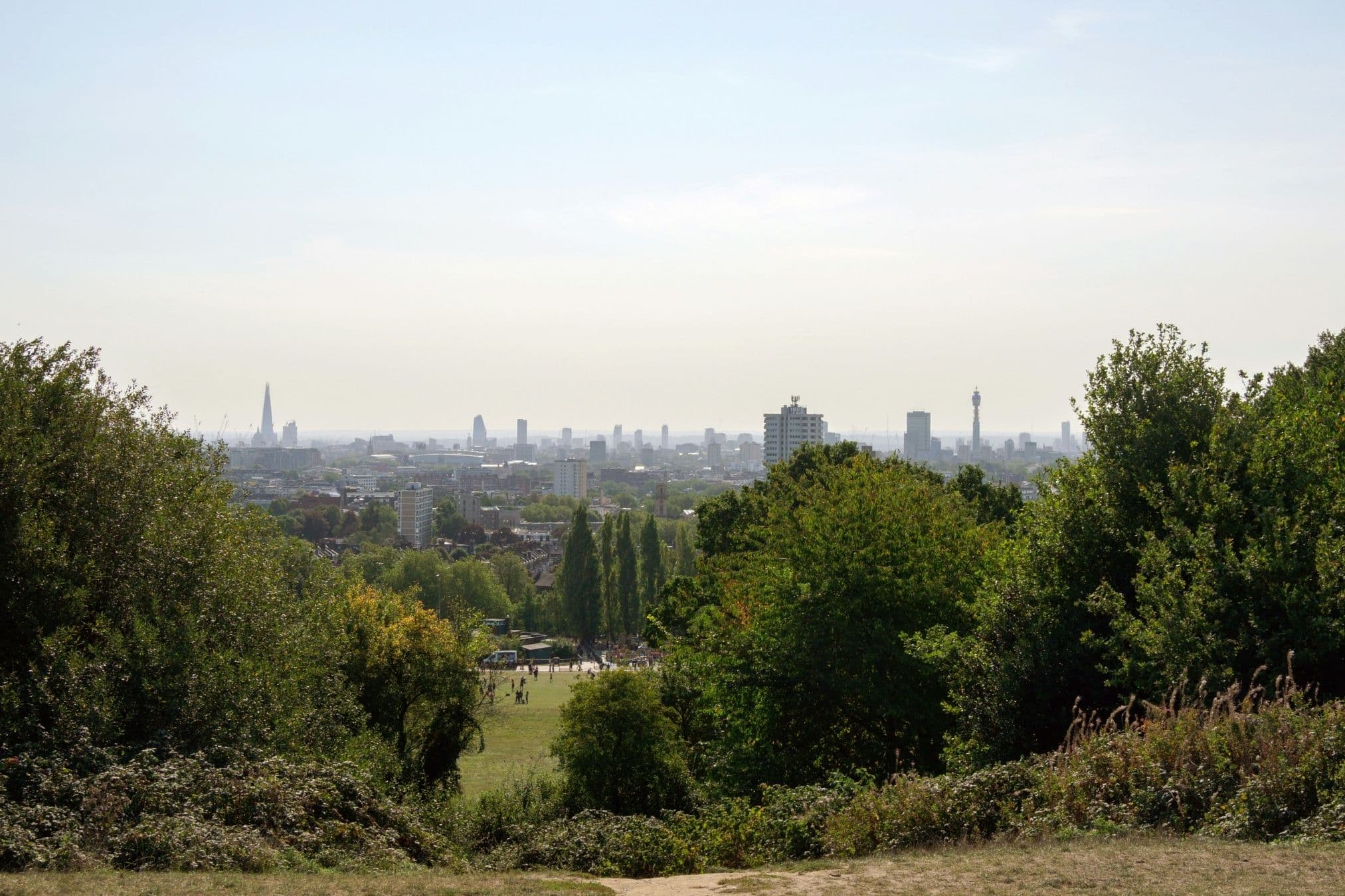 Slide Image
